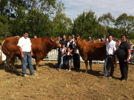 Concours dpartemental Limousin