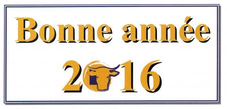 Voeux 2016