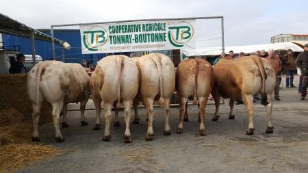 7 MARS 2016 - CONCOURS DE BOUCHERIE A TONNAY BOUTONNE