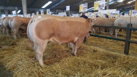 Concours de Boucherie- Parthenay 2016