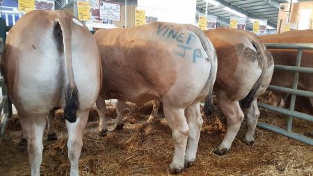 Concours de Boucherie