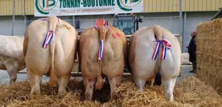 Concours de boucherie  Tonnay Boutonne